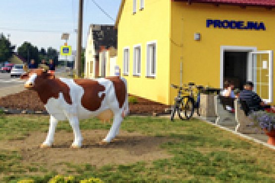 Farmář Auský otevřel v Mláce novou mlékárnu